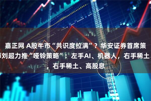 嘉正网 A股牛市“共识度拉满”？华安证券首席策略分析师刘超力推“哑铃策略”：左手AI、机器人，右手稀土、高股息