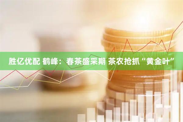 胜亿优配 鹤峰：春茶盛采期 茶农抢抓“黄金叶”